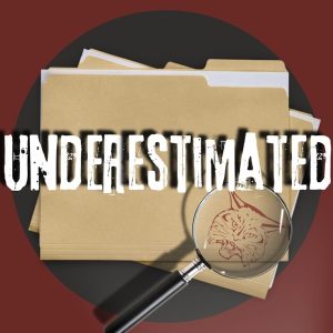 Underestimated - Bobcat Media